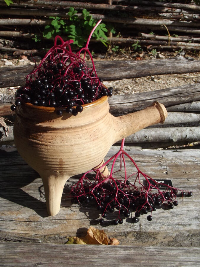 Black elderberries in a clay tripod